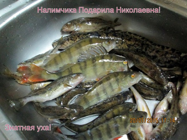 Колозеро 1  (4).JPG