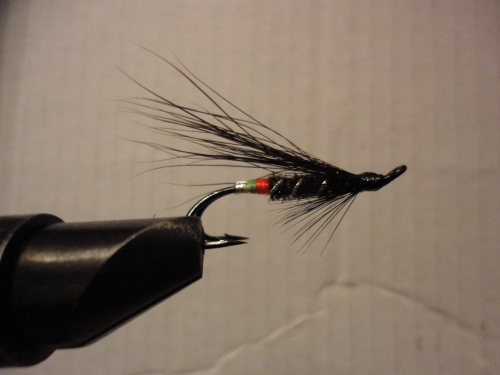 nov (4)_500x375.jpg