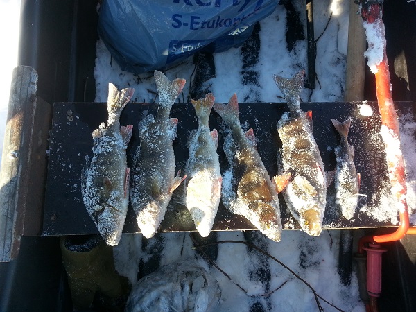 20140319_162516.jpg