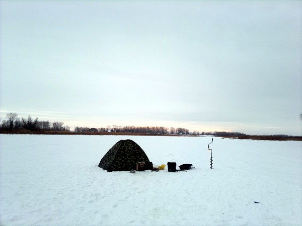 010220155310.jpg