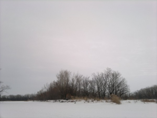 010220155309.jpg