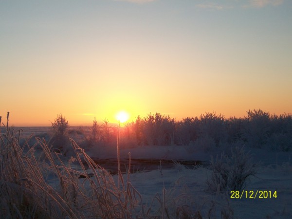100_3502.JPG