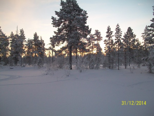 100_3523.JPG