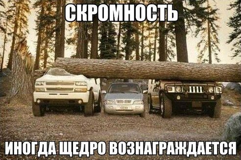 getImage (13).jpg