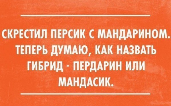 VVS9kU6hPe0.jpg