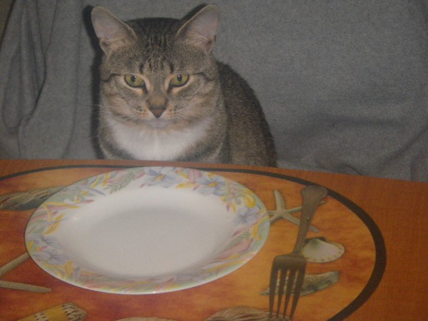 IMGP8888.JPG (237.47 КБ) Просмотров: 10038 IMGP8888.JPG