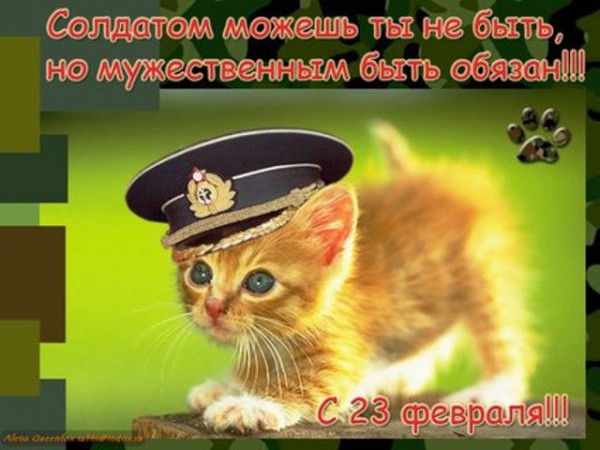 23кот.jpg