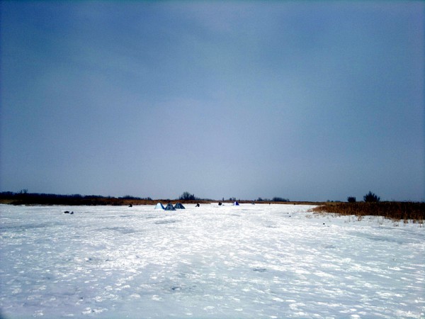 010320155560.jpg