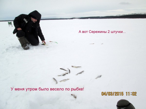 ЯБ 4,03,15 (1).JPG