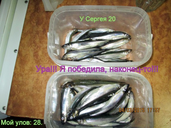 ЯБ 4,03,15 (2).JPG