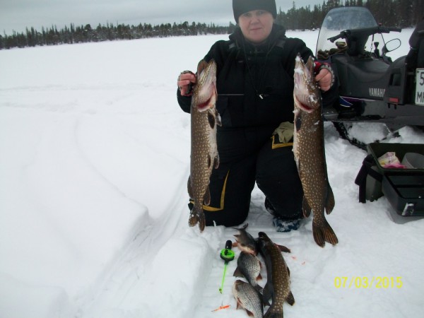 100_3681.JPG