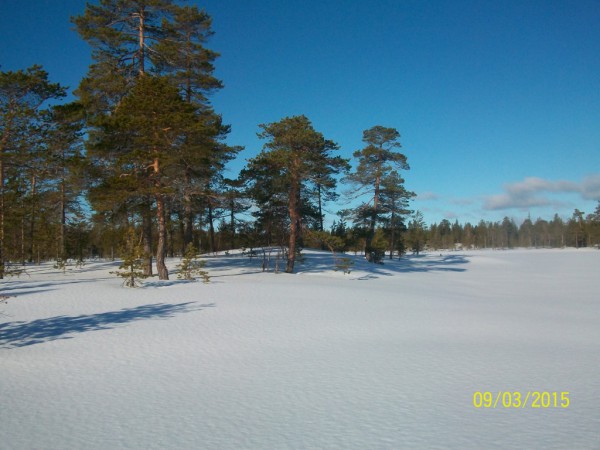 100_3719.JPG