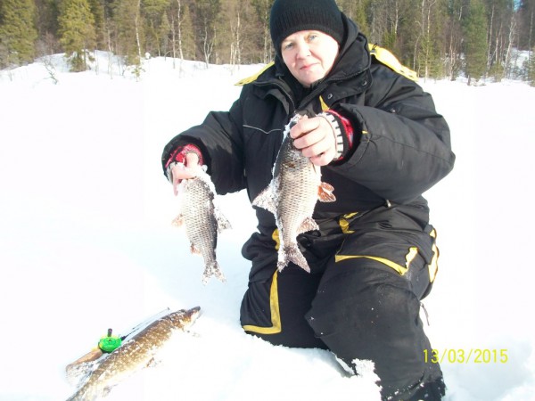 100_3750.JPG