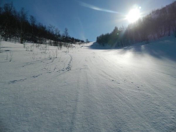 DSCN1946.JPG