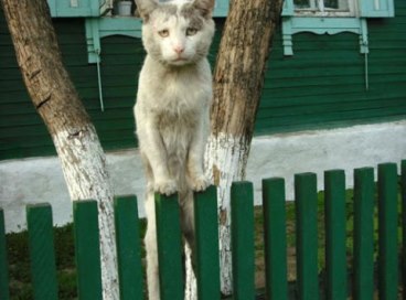 Васенька.jpg