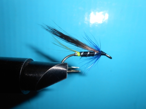 DSCN1815_500x375.jpg