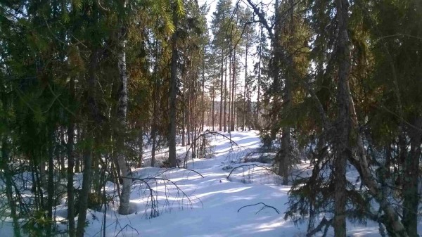 Изображение 022.jpg