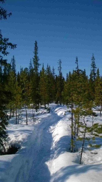 Изображение 020.jpg