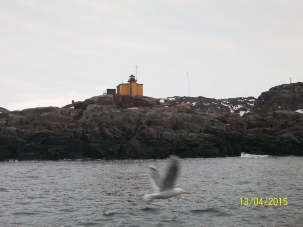 100_3990.JPG