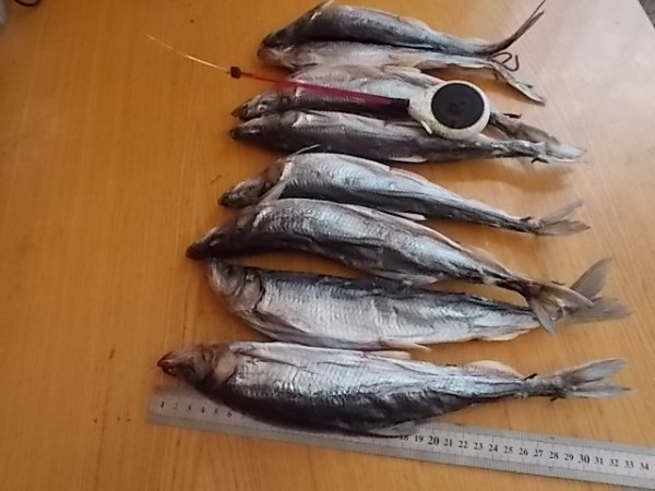 DSCN2508.JPG