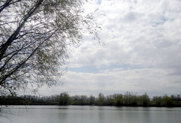 030520156012.jpg