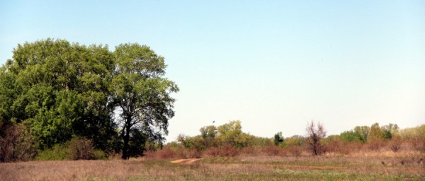 IMG_2083.JPG