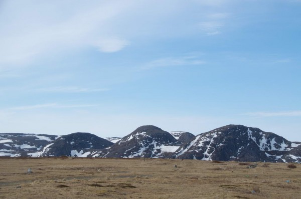 DSC_0217.JPG (60.56 КБ) Просмотров: 3374 DSC_0217.JPG