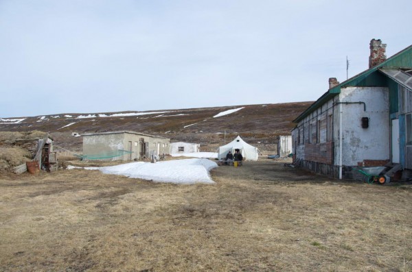 DSC_0219.JPG (102.77 КБ) Просмотров: 3384 DSC_0219.JPG