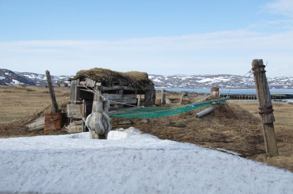 DSC_0221.JPG (93.88 КБ) Просмотров: 3384 DSC_0221.JPG