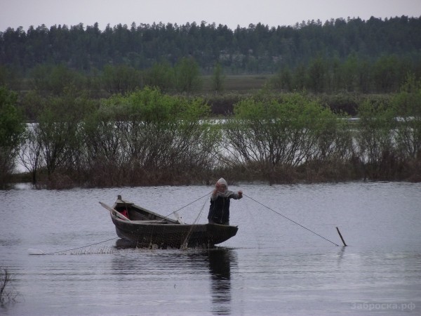 Lapland05.jpg