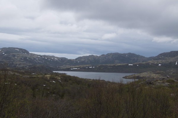 DSC_0500.JPG