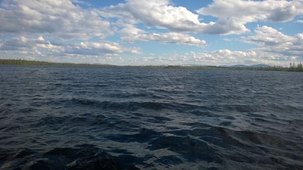 WP_20150530_037.jpg