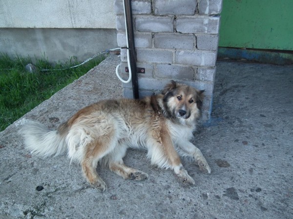 ДЗ2014 061мини80.jpg