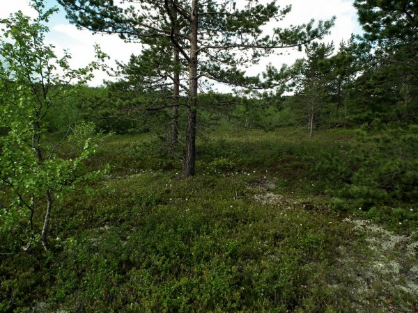 DSCF4350мини80.jpg