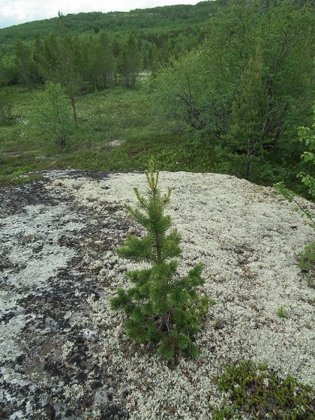 DSCF4532мини80.jpg