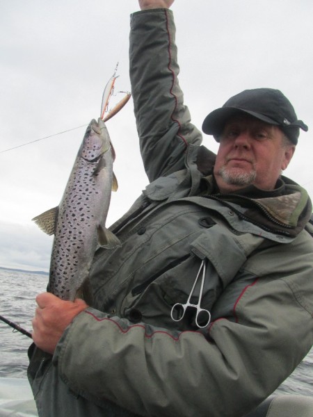 2 воблера.jpg