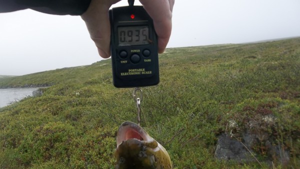 100_3013a.jpg (466.89 КБ) Просмотров: 7628 100_3013a.jpg