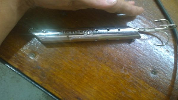 пунда палтус.jpg