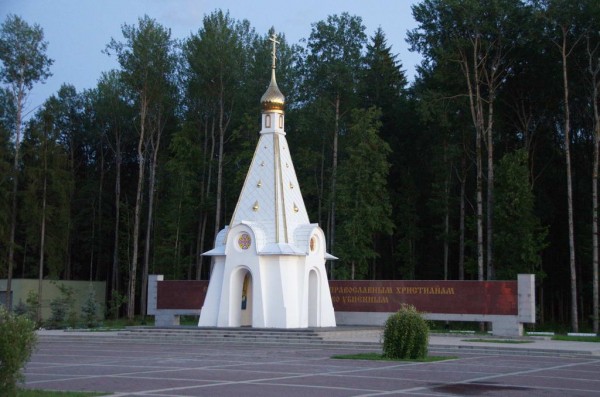 DSC_0878_новый размер.jpg