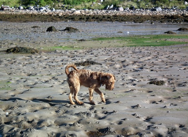 ДЗ2015Скепсис 013мини90.jpg