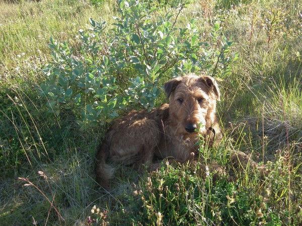 ДЗ2015Скепсис 036мини80.jpg