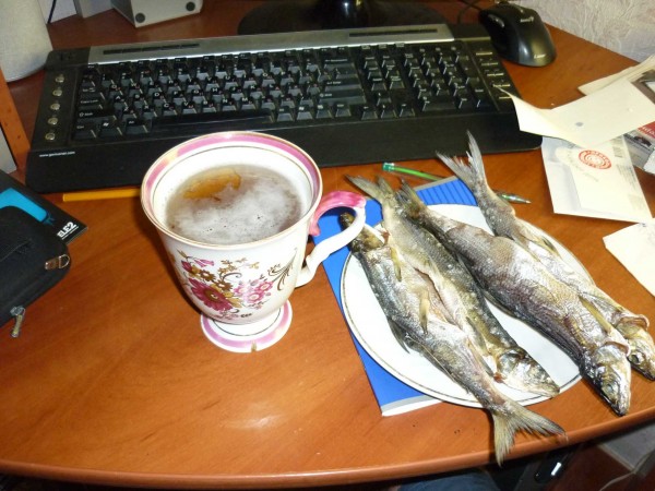 P1060386.JPG