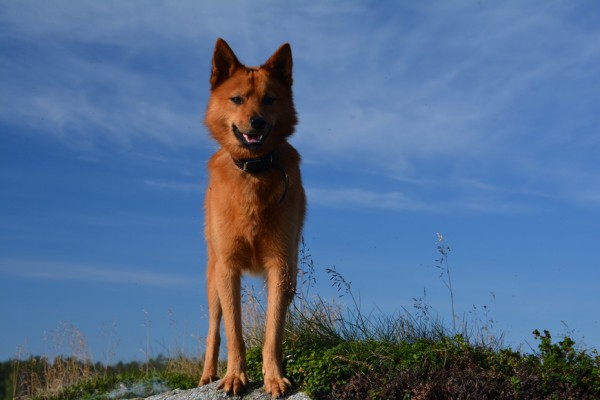 DSC_1176.jpg