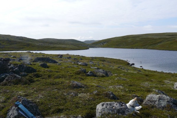 P1110064.JPG