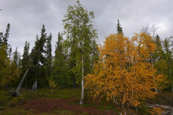 P1060667.JPG