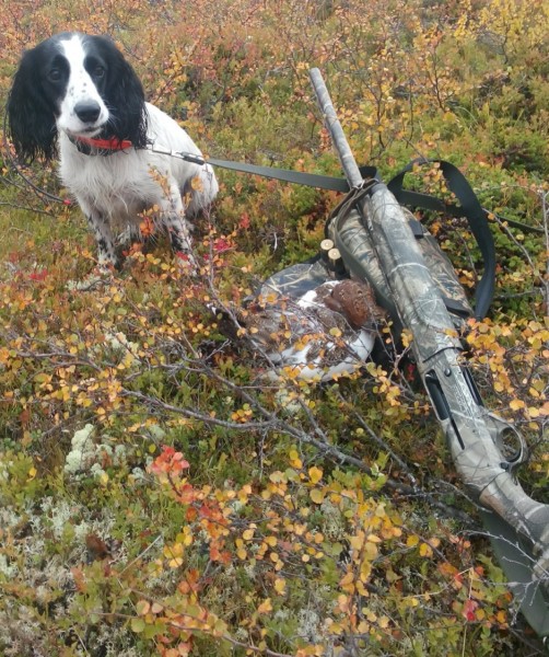 IMG_20150913_002816.jpg (423.18 КБ) Просмотров: 12073 IMG_20150913_002816.jpg