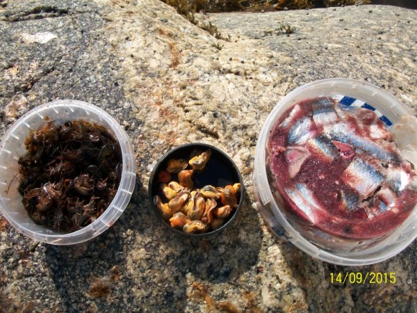 100_4516.JPG