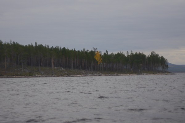 P1070207.JPG