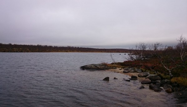 DSC_0824.JPG