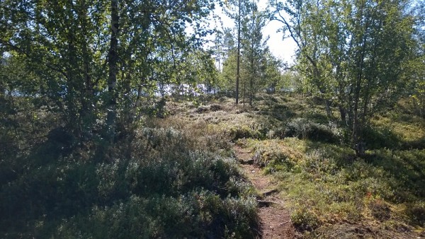 WP_20150819_003.jpg